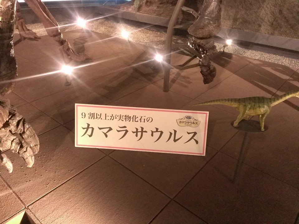 f0136675_00230151.jpg