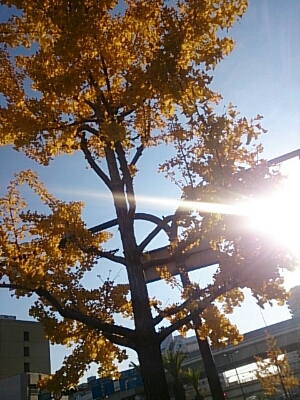 f0152875_8581755.jpg