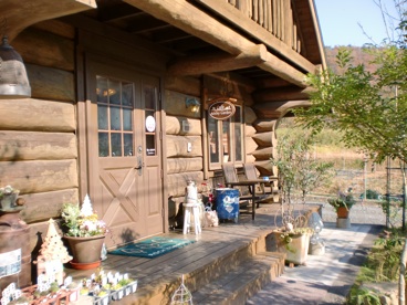 a0234877_2071843.jpg