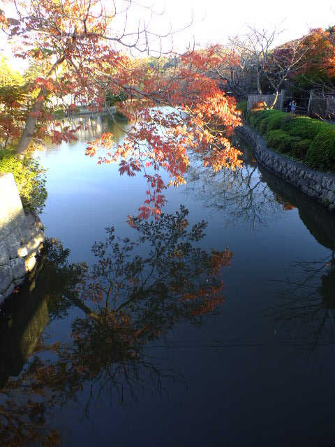 e0145782_1554756.jpg