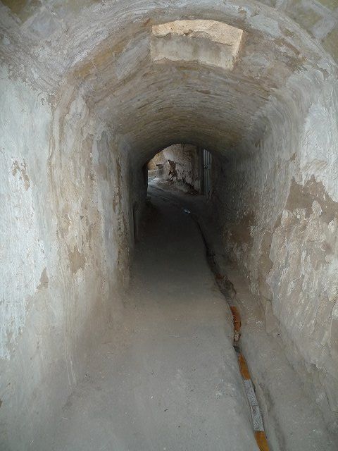 b0287088_2035439.jpg