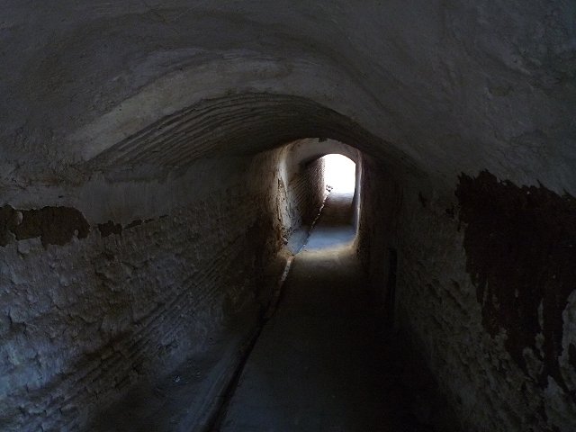 b0287088_20362491.jpg