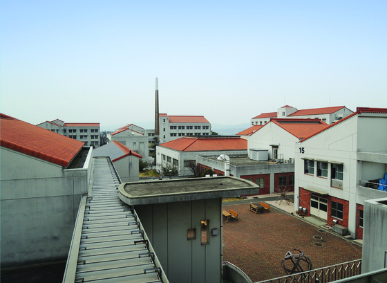 d0238988_2344325.jpg