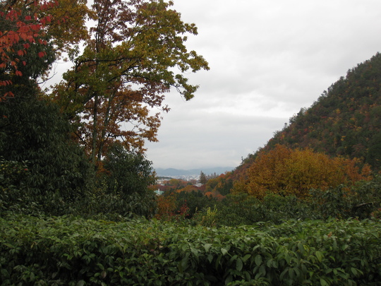 f0010195_21522843.jpg