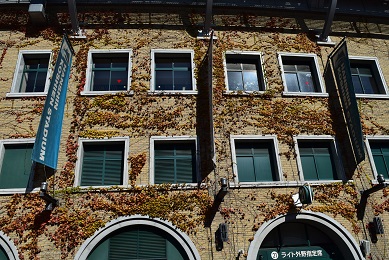 c0187298_1027589.jpg
