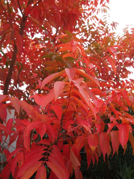 c0220700_09224149.jpg