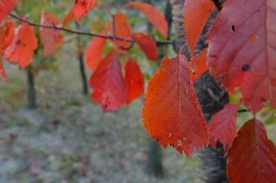 e0304001_20514290.jpg