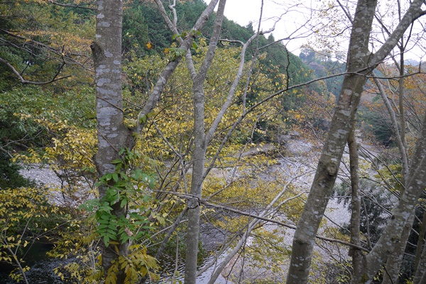 d0133704_153132100.jpg