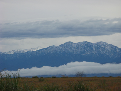 a0160407_147391.jpg
