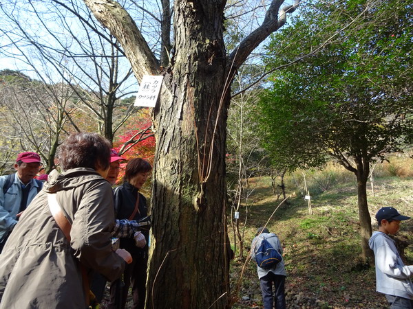 b0052108_15304869.jpg