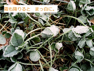 b0200310_19401660.jpg
