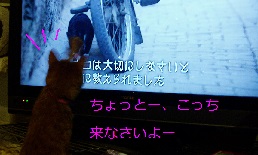 b0200310_2004840.jpg