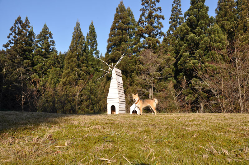 e0162117_18102587.jpg