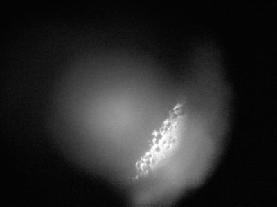 f0086618_20243769.jpg