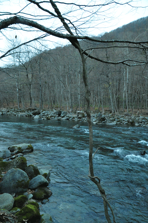 e0312121_1038468.gif