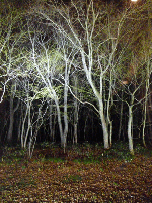 e0312121_10393367.gif