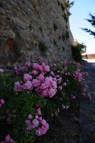 b0129725_22473151.jpg