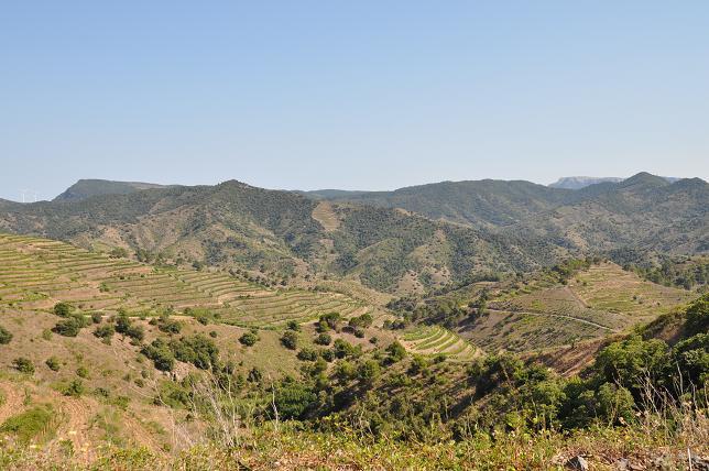 b0129725_22593535.jpg