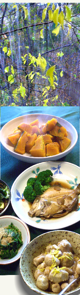 d0043225_2204572.jpg