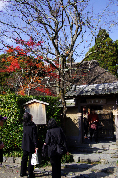 d0250028_12555352.jpg