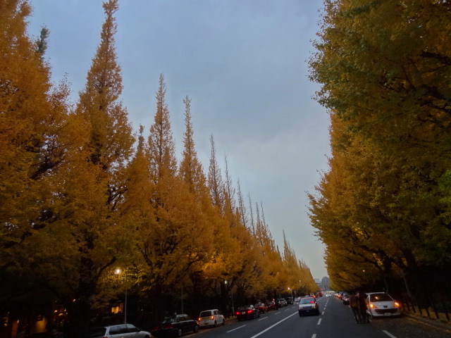 e0016828_10445279.jpg