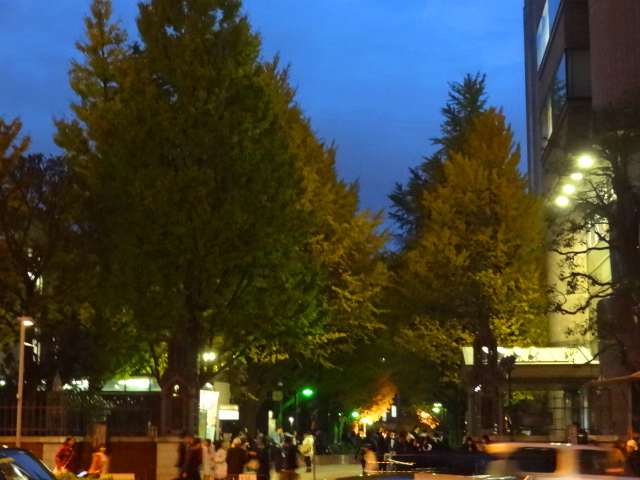 e0016828_1047876.jpg
