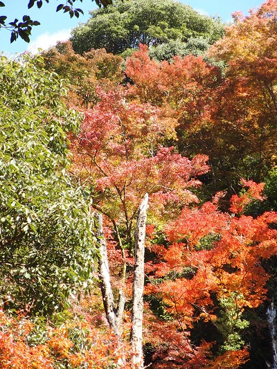 e0303929_3281997.jpg