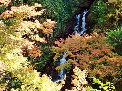 e0303929_334216.jpg