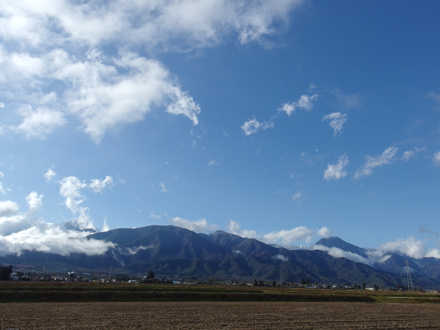 a0014840_2332646.jpg