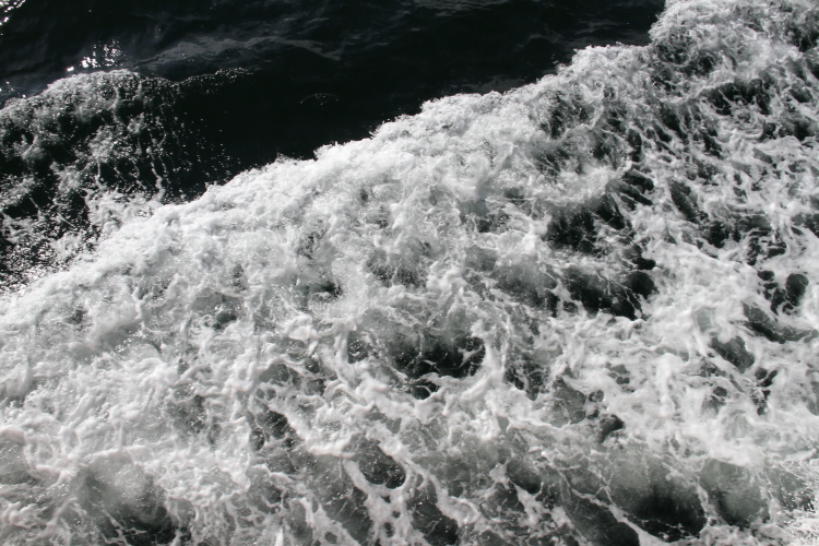 f0281446_15023789.jpg