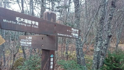 b0148050_16303581.jpg