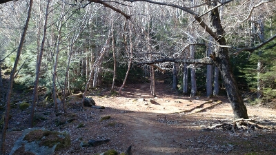 b0148050_16335183.jpg