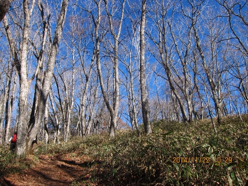 b0148050_20323240.jpg