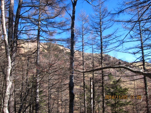 b0148050_2033191.jpg