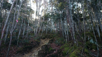 b0148050_2053347.jpg