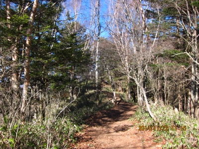 b0148050_21555973.jpg