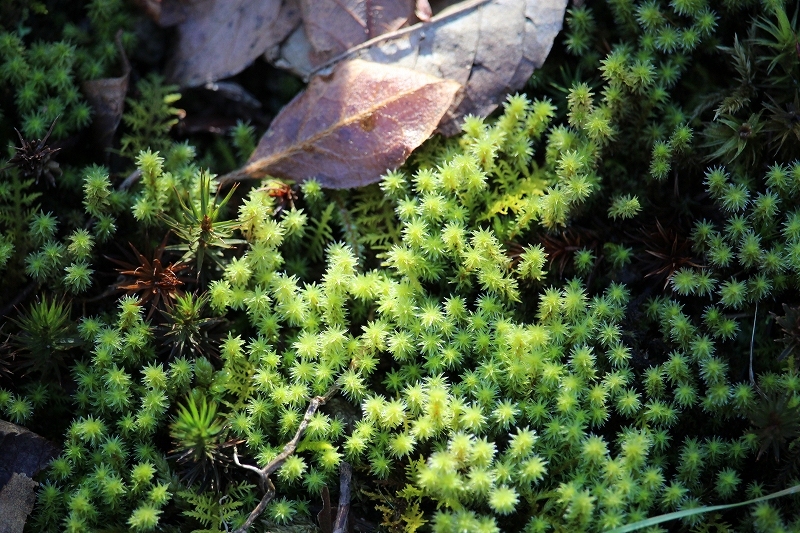 b0250154_07185539.jpg