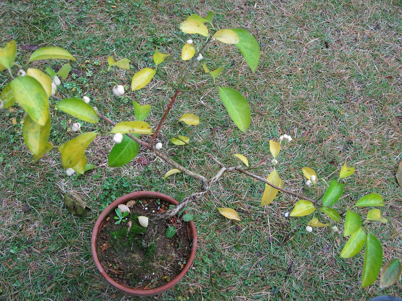 a0052762_105966.jpg