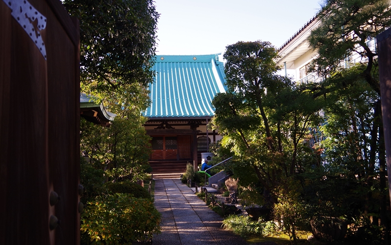 d0031171_8123100.jpg