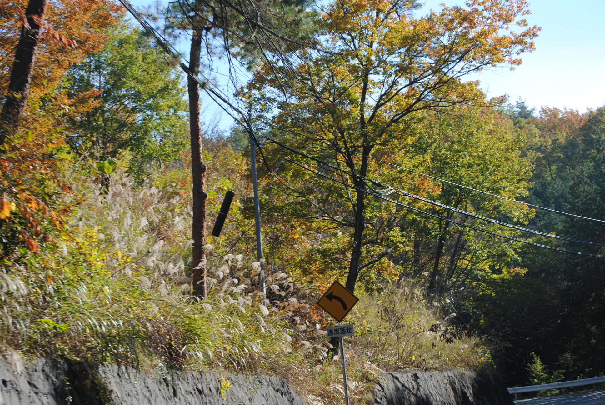 b0242873_23401910.jpg
