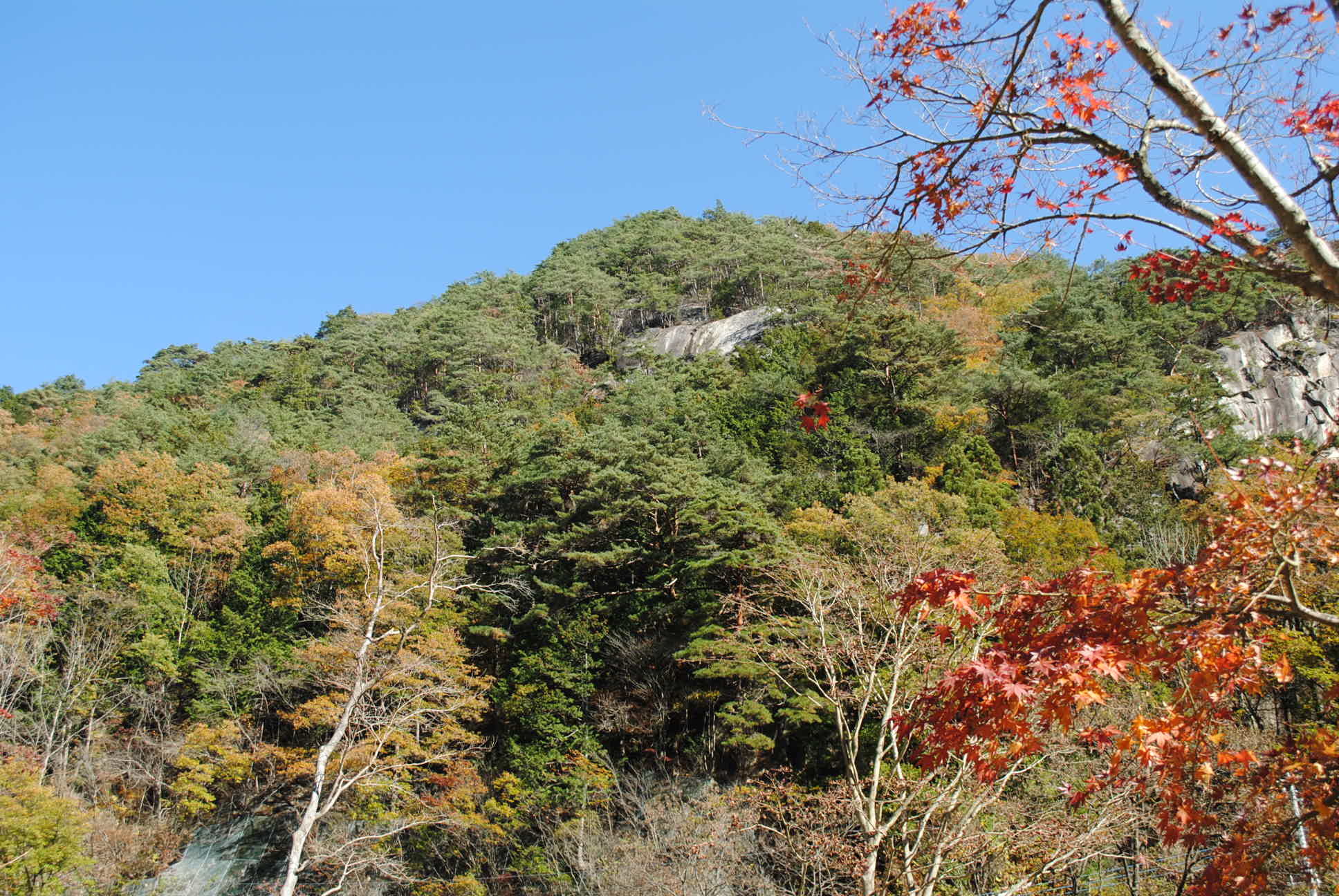 b0242873_23451719.jpg