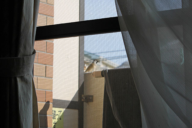 c0226874_20482479.jpg