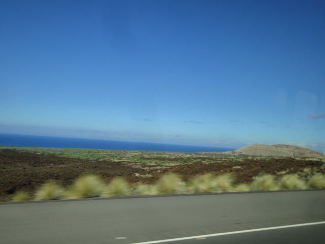 d0147774_927265.jpg