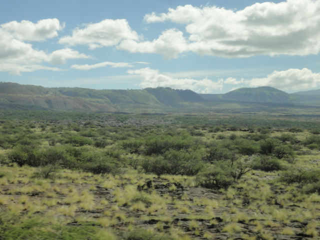 d0147774_927659.jpg