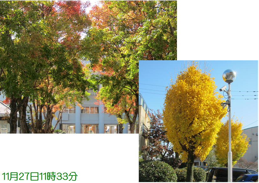f0003174_14173957.jpg