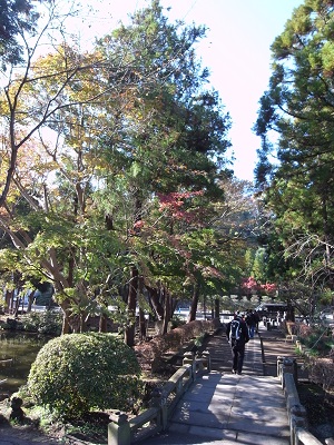 d0124878_1231193.jpg