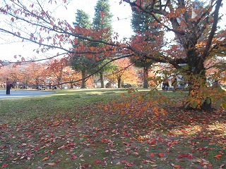 f0215580_1146596.jpg