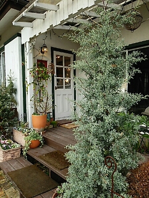 b0163088_8554986.jpg