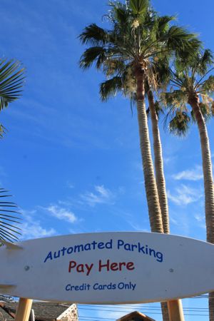 f0245389_1444894.jpg