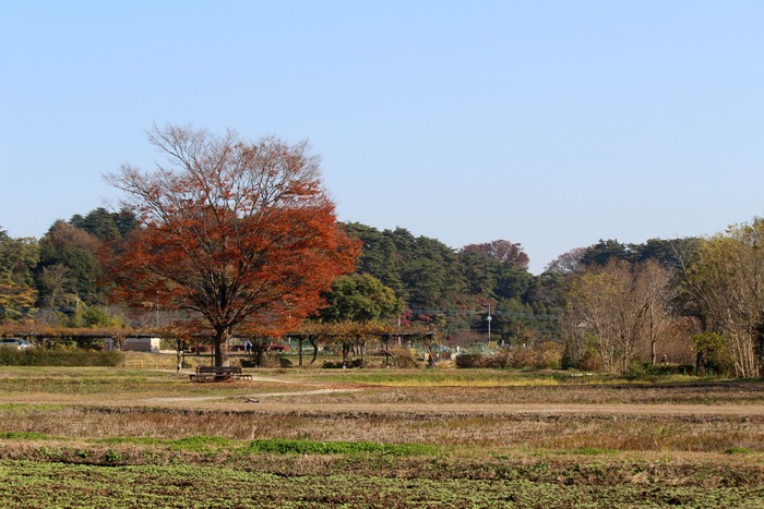 a0127090_15425625.jpg